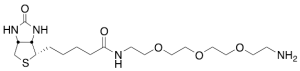 (+)-Biotinyl 3,6,9-Trioxaundecanediamine