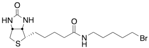 Biotin 5-Bromopentylamide