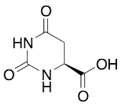 L-Dihydroorotic acid
