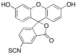Fluorescein 5-Isothiocyanate, Isomer 1 (~90%)