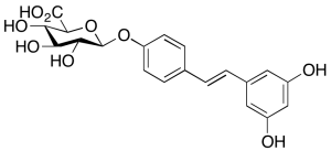 trans-Resveratrol 4’-O-beta-D-Glucuronide