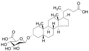 Lithocholic Acid 3-O-Glucuronide