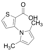 3-(2,5-Dimethyl-1H-pyrrol-1-yl)-2-thiophenecarboxylic Acid