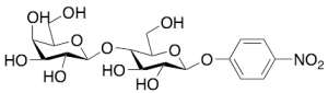 p-Nitrophenyl Beta-D-Lactopyranoside