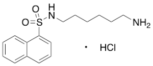 N-(6-Aminohexyl)-1-naphthalenesulfonamide Hydrochloride