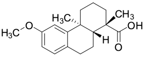 o-Methylpodocarpic Acid