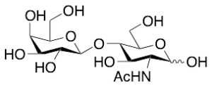 N-Acetyllactosamine