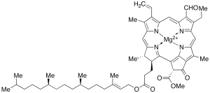 Chlorophyll b (Technical Grade)