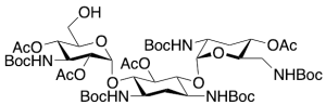 Penta-N-Boc Tobramycin O-Tetracetate