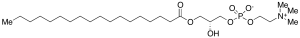 Stearoyl L-alpha-Lysolecithin