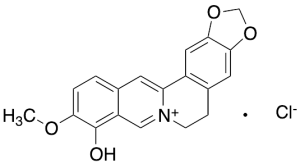 Berberrubine Chloride