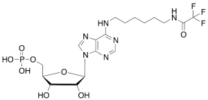(-)-Inosine Dehydroxy-N-(6-iminohexyl)-2,2,2-trifluoroacetamide Phosphate