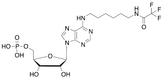 (-)-Inosine Dehydroxy-N-(6-iminohexyl)-2,2,2-trifluoroacetamide Phosphate