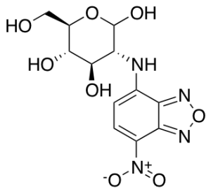 2-NBDG