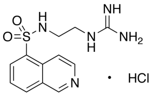 N-(2-Guanidinoethyl)-5-isoquinolinesulfonamide Hydrochloride