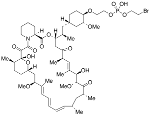 42-O-[2-[[Hydroxy(2-bromoethoxy)phosphinyl]oxy]ethyl] Rapamycin (Technical Grade)