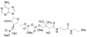 Acetyl Coenzyme A Trisodium Salt