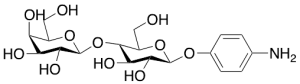 p-Aminophenyl b-D-Lactopyranoside