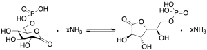6-Phosphoglucono-Delta-lactone