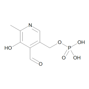 Pyridoxal 5'-Phosphate