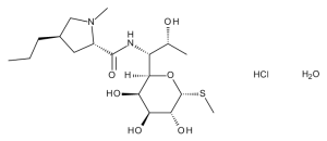Lincomycin hydrochloride monohydrate