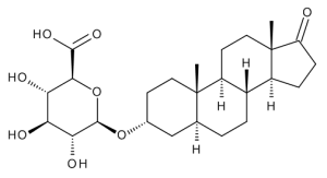Androsterone b-D-Glucuronide