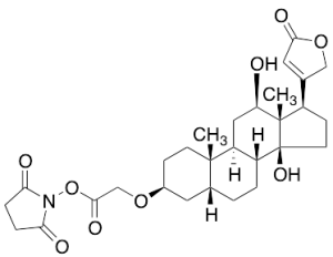 (3b,5b,12b)-3-[2-[(2,5-Dioxo-1-pyrrolidinyl)oxy]-2-oxoethoxy]-12,14-dihydroxy-card-20(22)-enolide  (>90%)