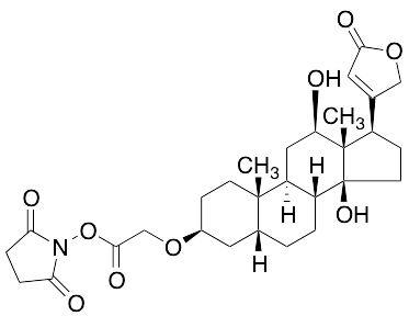 (3Beta,5Beta,12Beta)-3-[2-[(2,5-Dioxo-1-pyrrolidinyl)oxy]-2-oxoethoxy]-12,14-dihydroxy-card-20(22)-enolide (>90%)