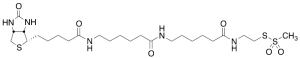 N-Biotinylcaproylaminocaproylaminoethyl Methanethiosulfonate