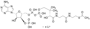Acetyl Coenzyme A Lithium Salt