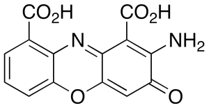 Cinnabarinic Acid