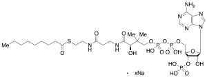 Nonanoyl Coenzyme A Sodium Salt