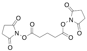 Disuccinimidyl Glutarate