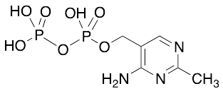 (4-Amino-2-methylpyrimidin-5-yl)methyl Trihydrogen Diphosphate