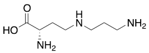 (S)-2-Amino-4-[(3-aminopropyl)amino]-butanoic Acid