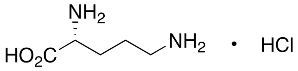 D-Ornithine Hydrochloride
