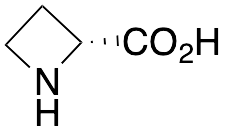 D-Azetidine-2-carboxylic Acid