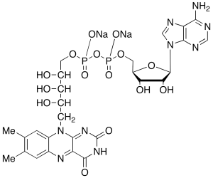 Flavine Adenine Dinucleotide Disodium Salt