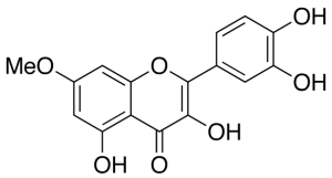 7-O-Methyl Quercetin
