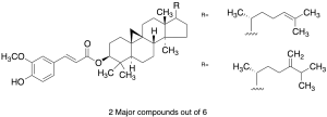 Gamma-Oryzanol
