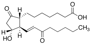 15-Keto Prostaglandin E1