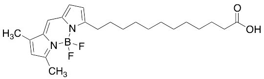 12-BODIPY-dodecanoic Acid