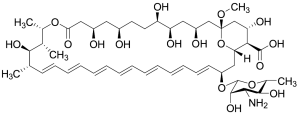 13-O-Methylamphotericin B (>85%)