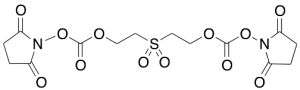Bis[2-(succinimidooxycarbonyloxy)ethyl] Sulfone