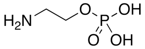 Phosphorylethanolamine