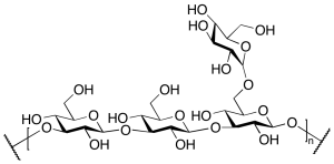 Scleroglucan (Technical Grade)