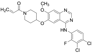 Poziotinib