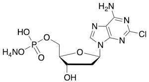 Cladribine 5’-Monophosphate Ammonium Salt