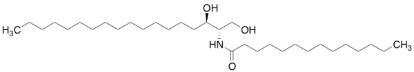 C14 Dihydroceramide