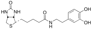 N-Biotinyl Dopamine